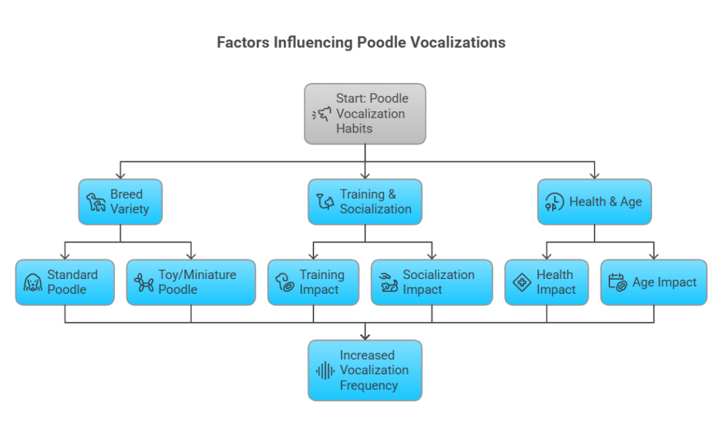 Factors Influencing Poodle Vocalization