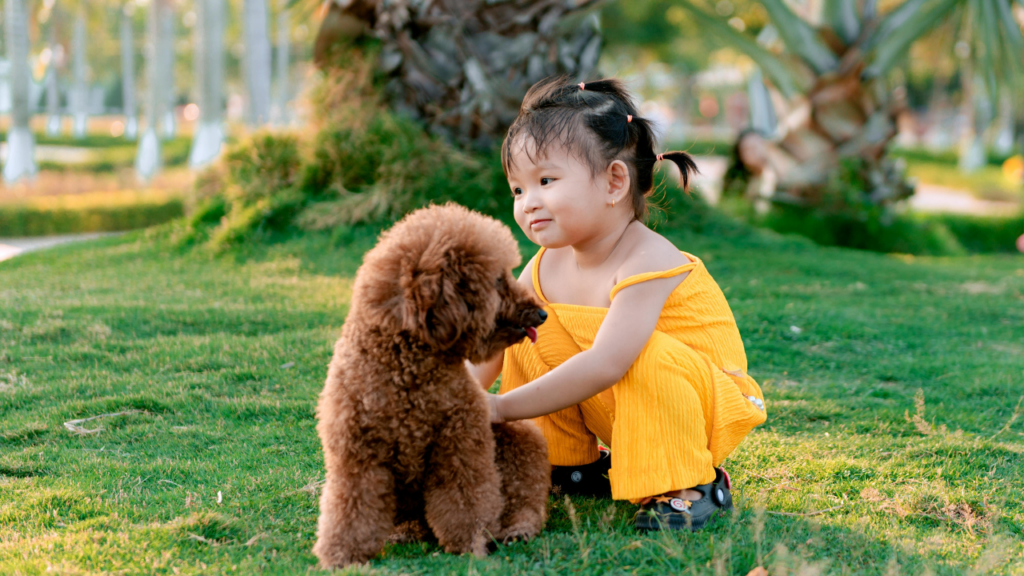 Girl with Poodle