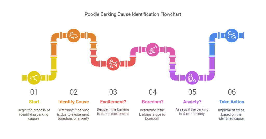 Poodle Barking Cause Indentification Flowchart