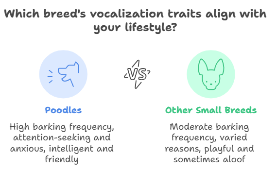 Poodle Vocalization Comparison with other breeds