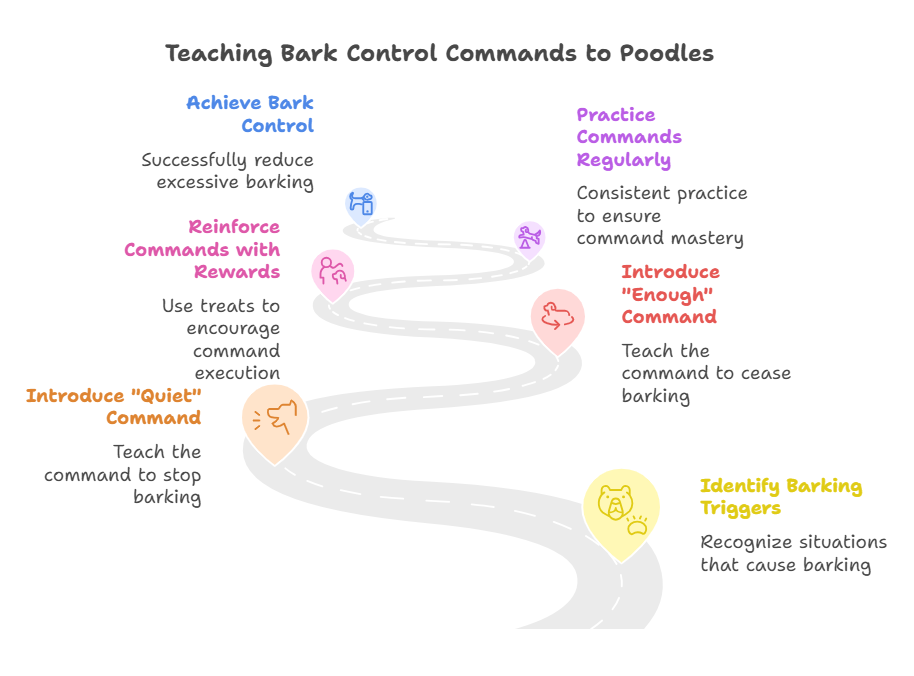 Teaching Bark Control Commands To Poodles