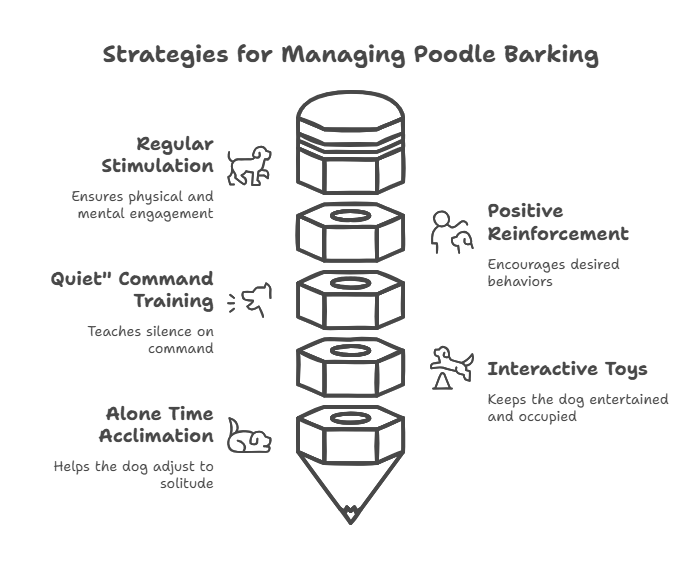 strategies for managing Poodle Barking